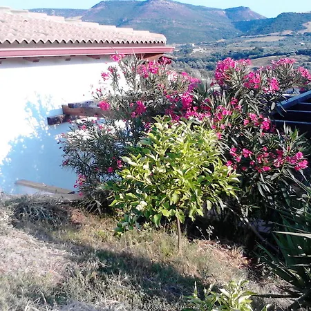 Affittacamere Valverde Di Naitana Rita 2*